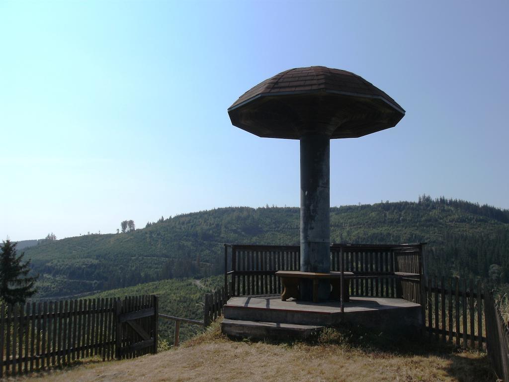 Rodachtal Mit Gaestehaus Katharina Schwarzenbach am Wald