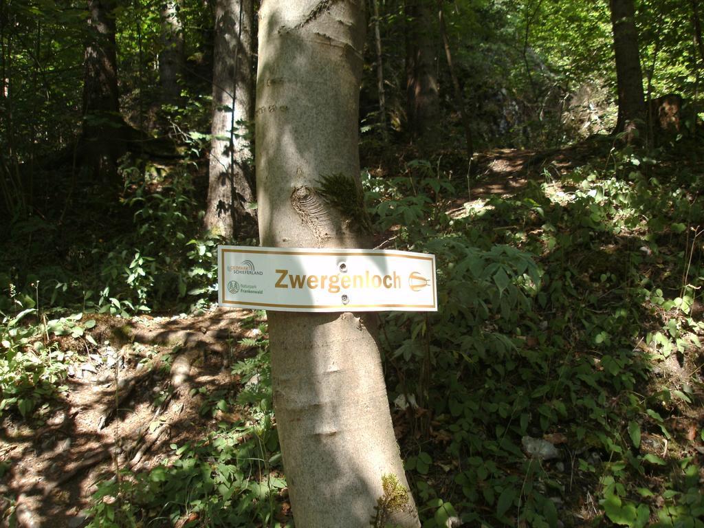 Rodachtal Mit Gaestehaus Katharina Schwarzenbach am Wald